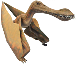 Maaradactylus (JWE Design) Meme Template