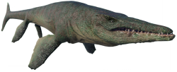 Tylosaurus (JWE Design) Meme Template