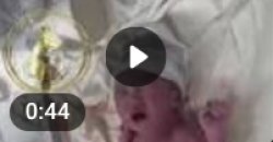 Crying Bogg Baby Meme Template