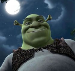 Shrek smile at night Meme Template