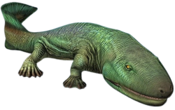 Acanthostega 2 (JWTG Design) Meme Template