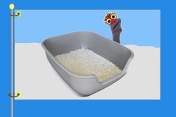 Sock Puppet Litter Box Flag Meme Template