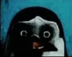 Death stare penguin Meme Template