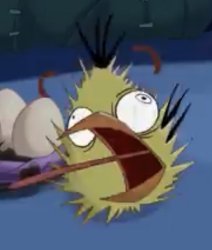 Shock Chuck Meme Template