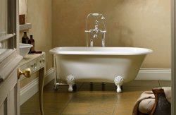 claw&ballfoot bathtub Meme Template