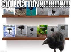 COLLECTION!!!!!!!!!! Meme Template