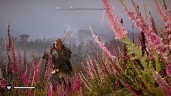 Female Eivor in the flowers Meme Template