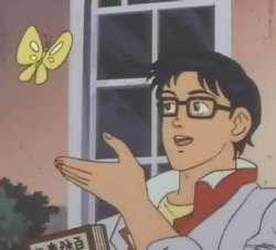 what kind of is this Meme Template