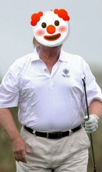 clown golf Meme Template