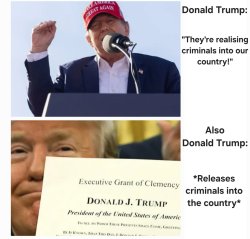 Trump Criminals Meme Template