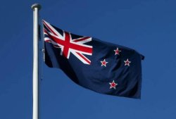 NZ Flag Meme Template