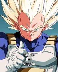 vegeta march Meme Template