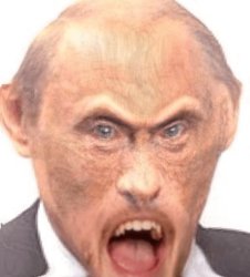 Putin monkey Meme Template