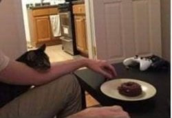 I'm physicly resstraing him from eating my doughnut. Meme Template