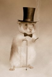 Gentlemen Hamster Meme Template