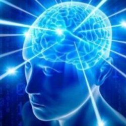 Genius Meme Template