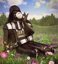 Darth Vader sass Meme Template