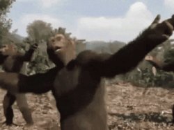 danceing monkeys Meme Template