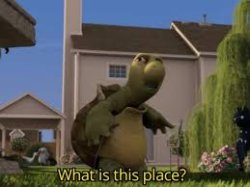 What is this place? (Over the Hedge) Meme Template