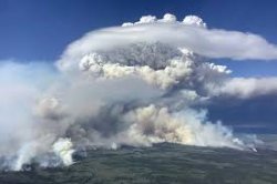 wildfires smoke Meme Template