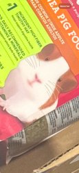 Surprised Hamster Meme Template