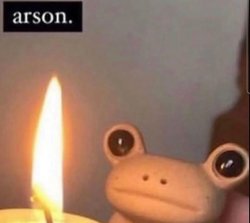 arson frog Meme Template