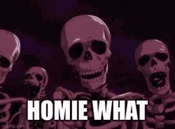 Homie what Meme Template