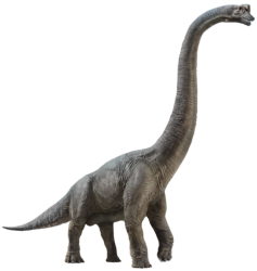 Brachiosaurus 7 Meme Template