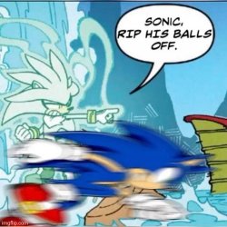 Sonic, rip his balls off. Meme Template