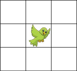 favorite birds Meme Template