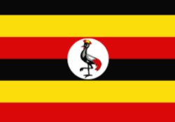 Uganda flag Meme Template