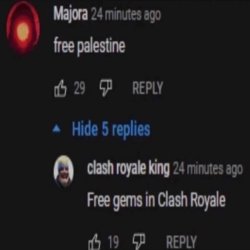 free palestine Meme Template