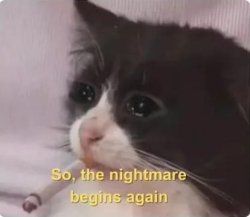 Cat Nightmare Begins Again Meme Template