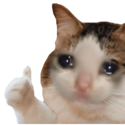 Sad cat thumbs up Meme Template