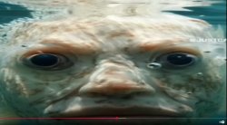 Bone-fish Meme Template