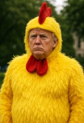 Donald Trump Chicken suit TACO Meme Template