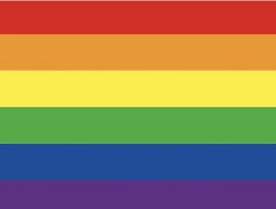 Pride Flag Meme Template