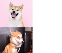 Therapy Dog Kalm Panik Meme Template