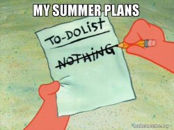 Summer plans Meme Template