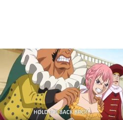 One Piece Hold me Back Bro Meme Template