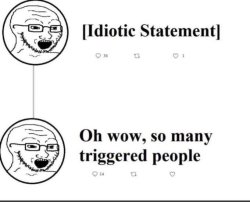 idiotic statement Meme Template