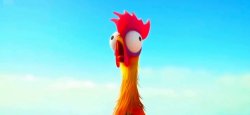 Chicken Meme Template