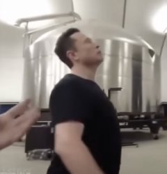 Musk high again Meme Template
