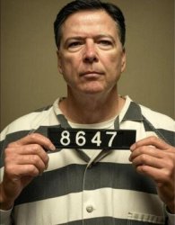 Comey in Prison Meme Template