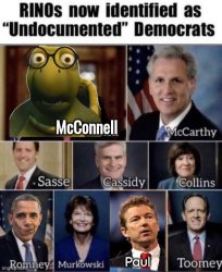 RINOs are Democrats Meme Template