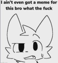 how do i respond to this Meme Template