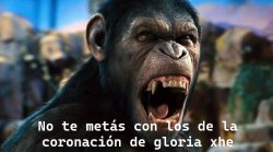 otra coronacion de gloria Meme Template