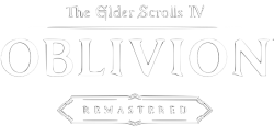 TES IV Oblivion Remastered Meme Template