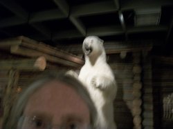 Stuffed polar bear Meme Template