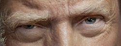 BB Trump Eyes Meme Template